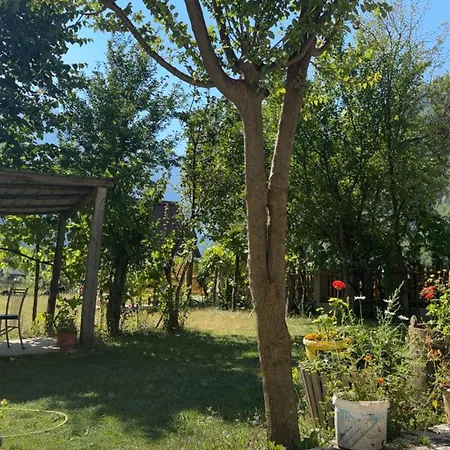 Lokthi Guesthaose Maison d'hôtes